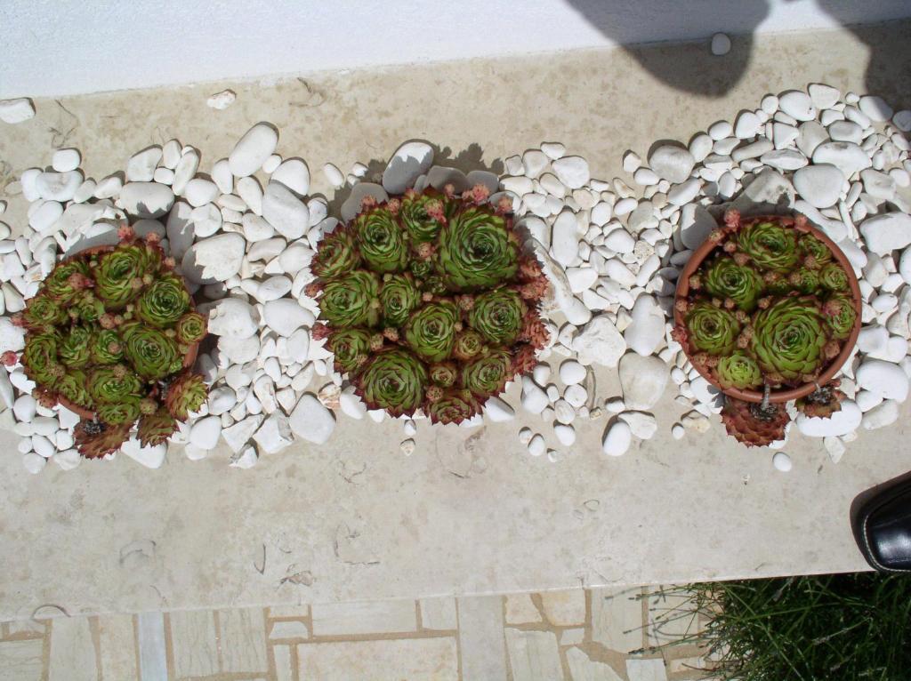 Apartments Paloma Blanca Medulin Ruang foto