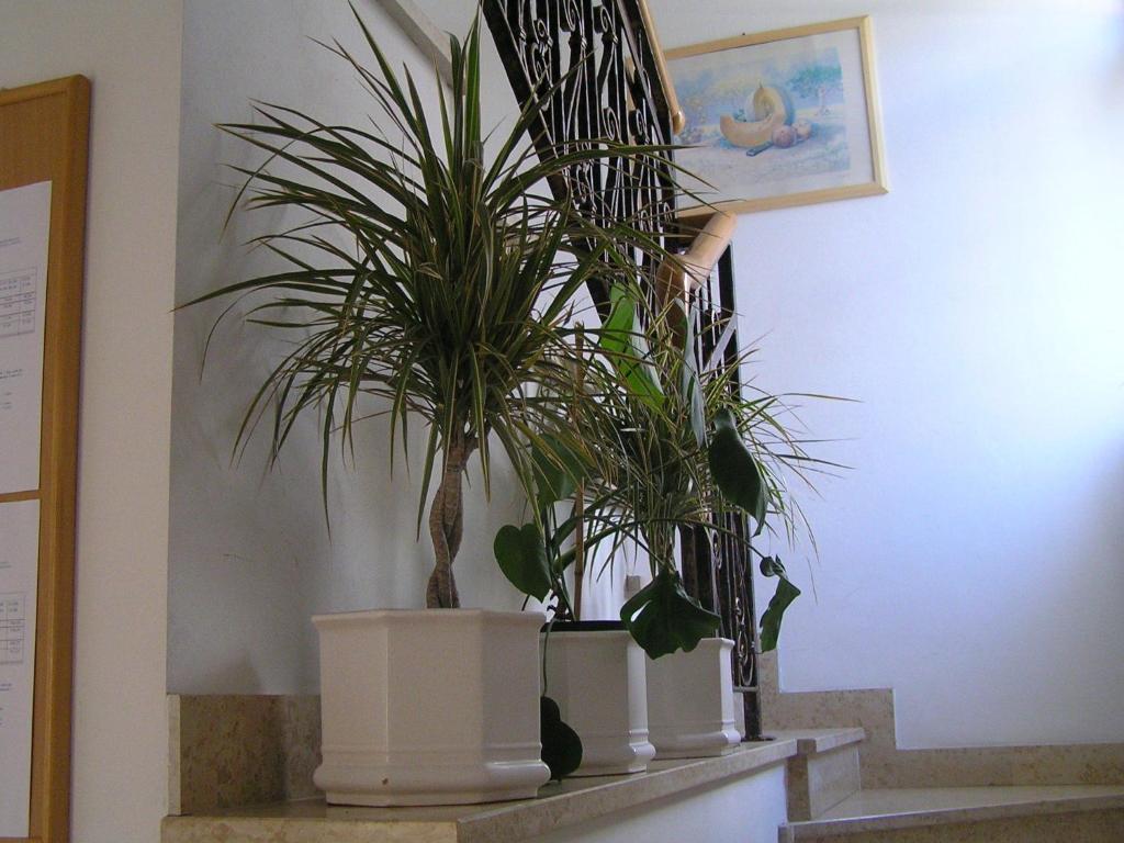 Apartments Paloma Blanca Medulin Ruang foto