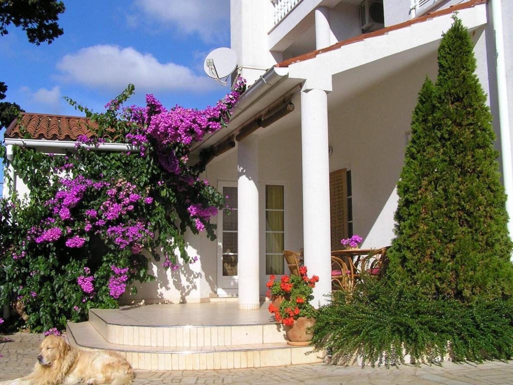 Apartments Paloma Blanca Medulin Ruang foto